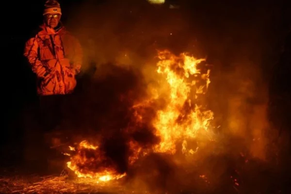 Knölsjuka hos nötkreatur under kontroll i Frankrike – bönder protesterar ändå